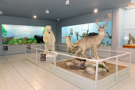 Samos Doğa Tarihi Müzesi